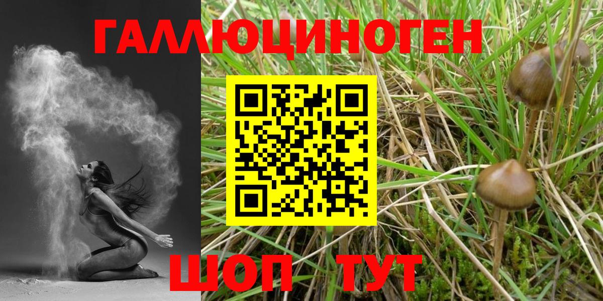 Галлюциногенные грибы Magic Shrooms Богородицк